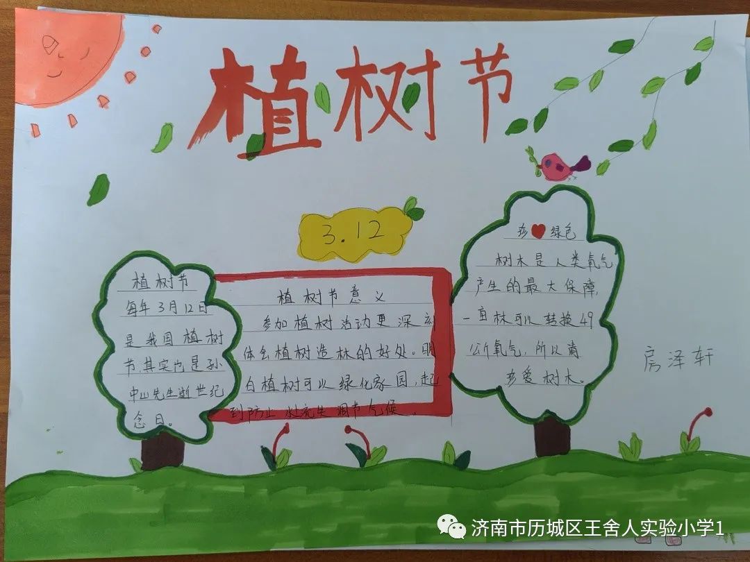 植树节小知识宣传绘画图片