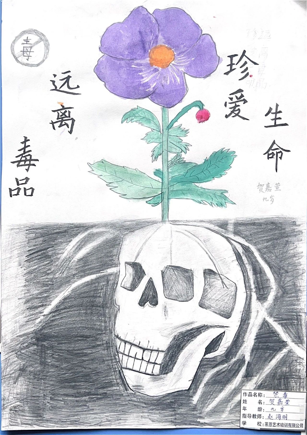 “珍爱生命 远离毒品 骷髅头”三年级禁毒绘画