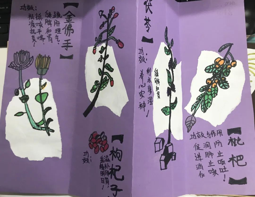 儿童画创意 | 关于植物的创意绘画作品