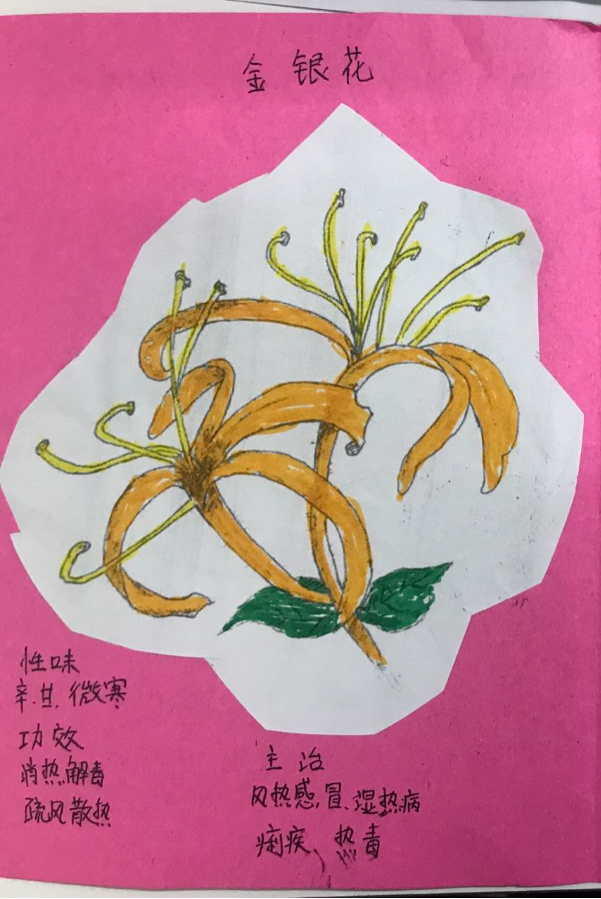 金银花儿童画