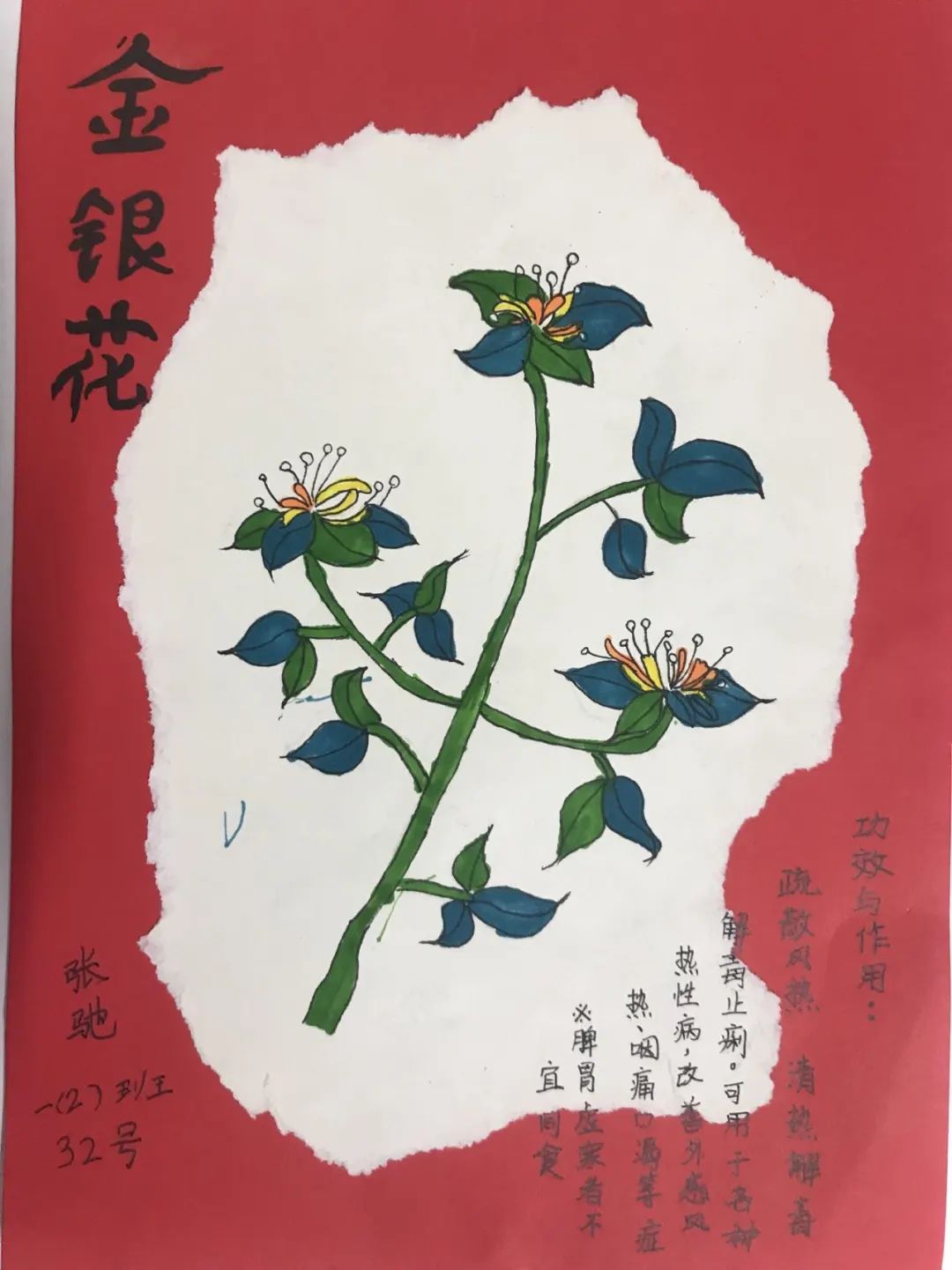 "学习使我快乐" 认识绿色植物