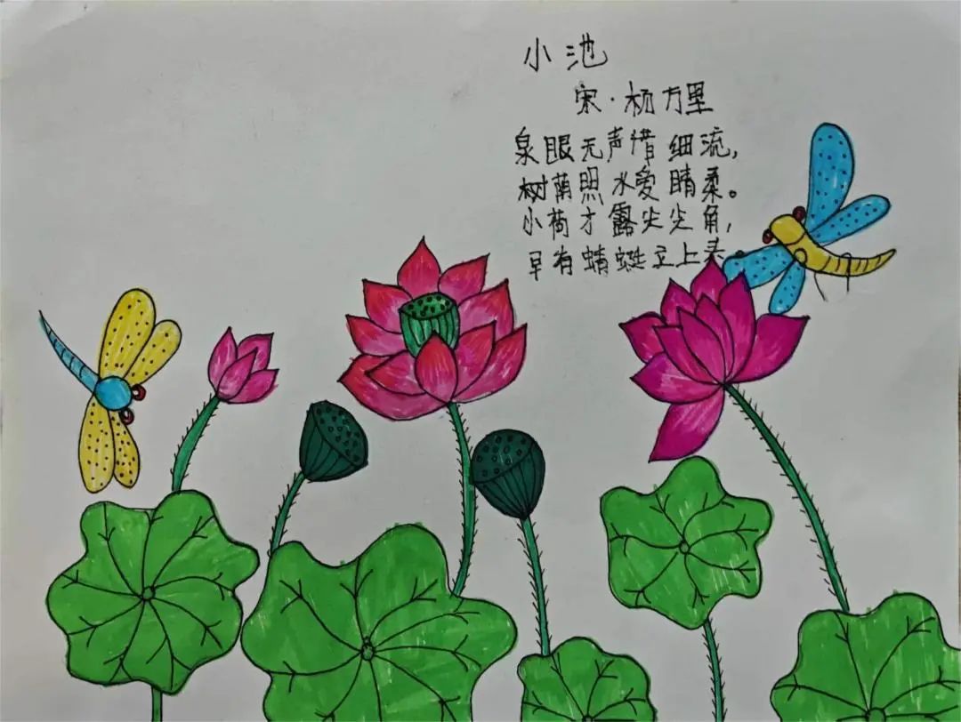 《小池》诗配画小学获奖作品