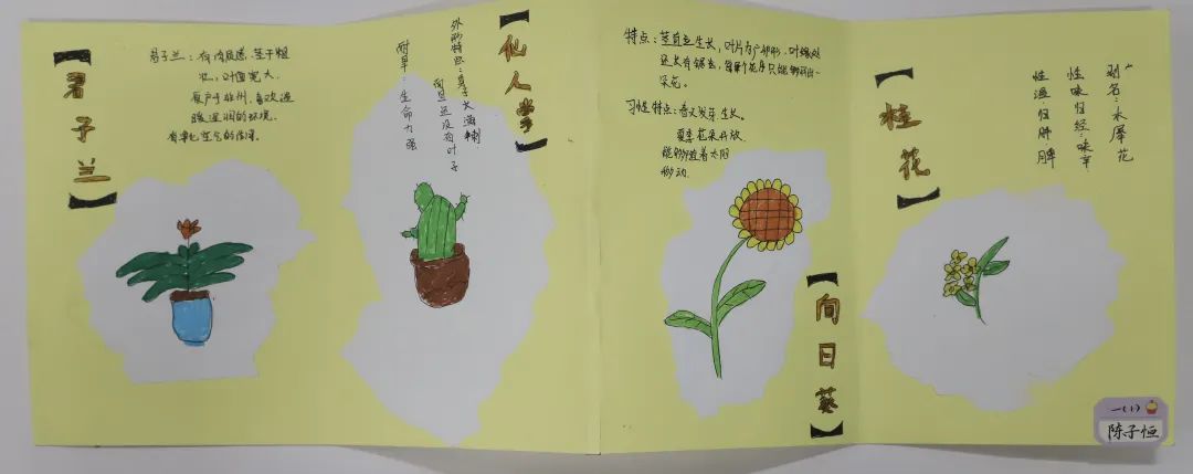 可爱的绿植简单绘画作品