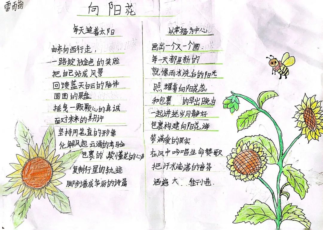 小学现代诗配画作品《向阳花》