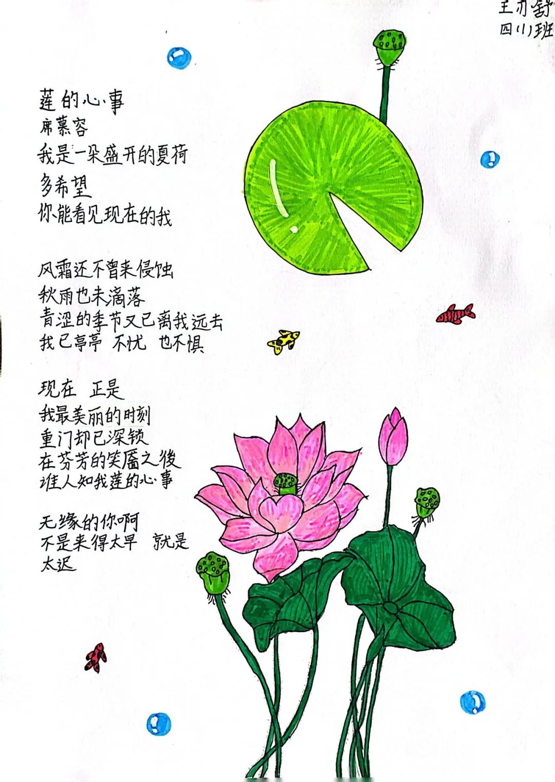 小学现代诗配画作品《莲的心事》