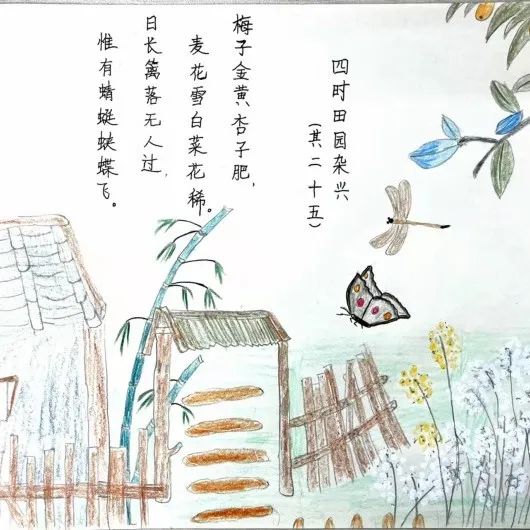 小学生古诗配画优秀作品《四时田园杂兴》