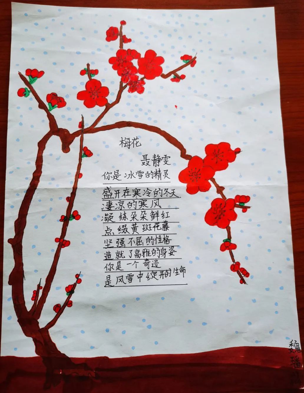 小学现代诗配画图片作品《梅花》