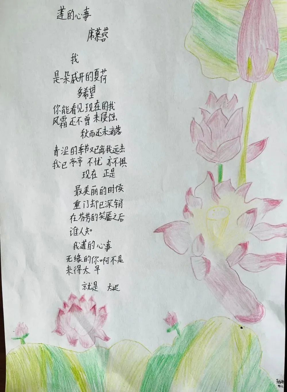 简单又好看的现代诗配画《莲的心事》