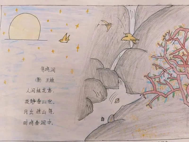 小学三年级古诗配画作品《鸟鸣涧》