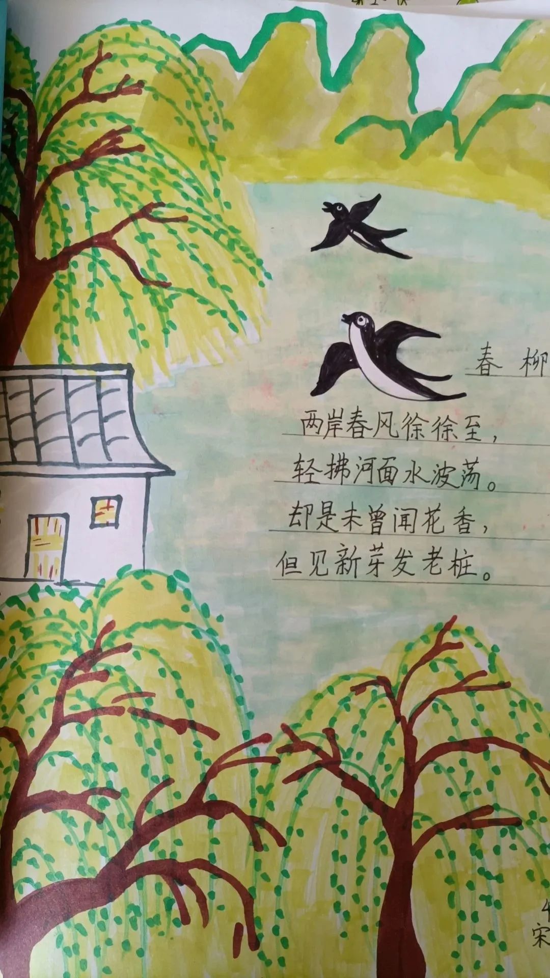 小学现代诗配画图片作品之《春柳》