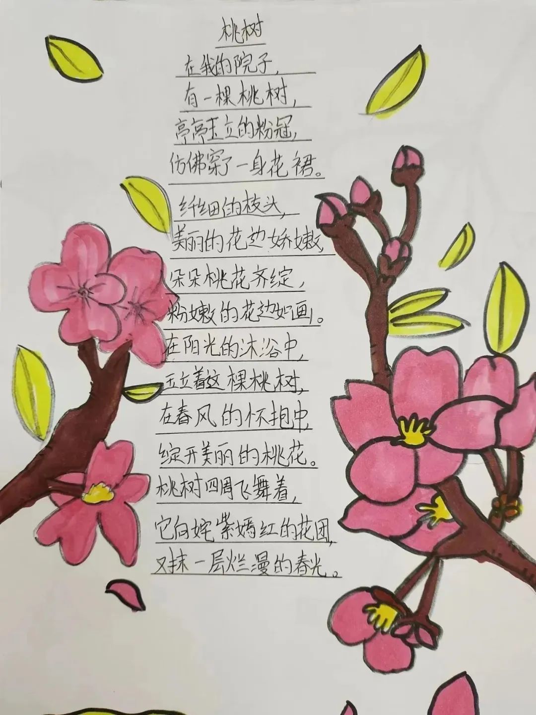 小学现代诗配画图片作品之《桃树》