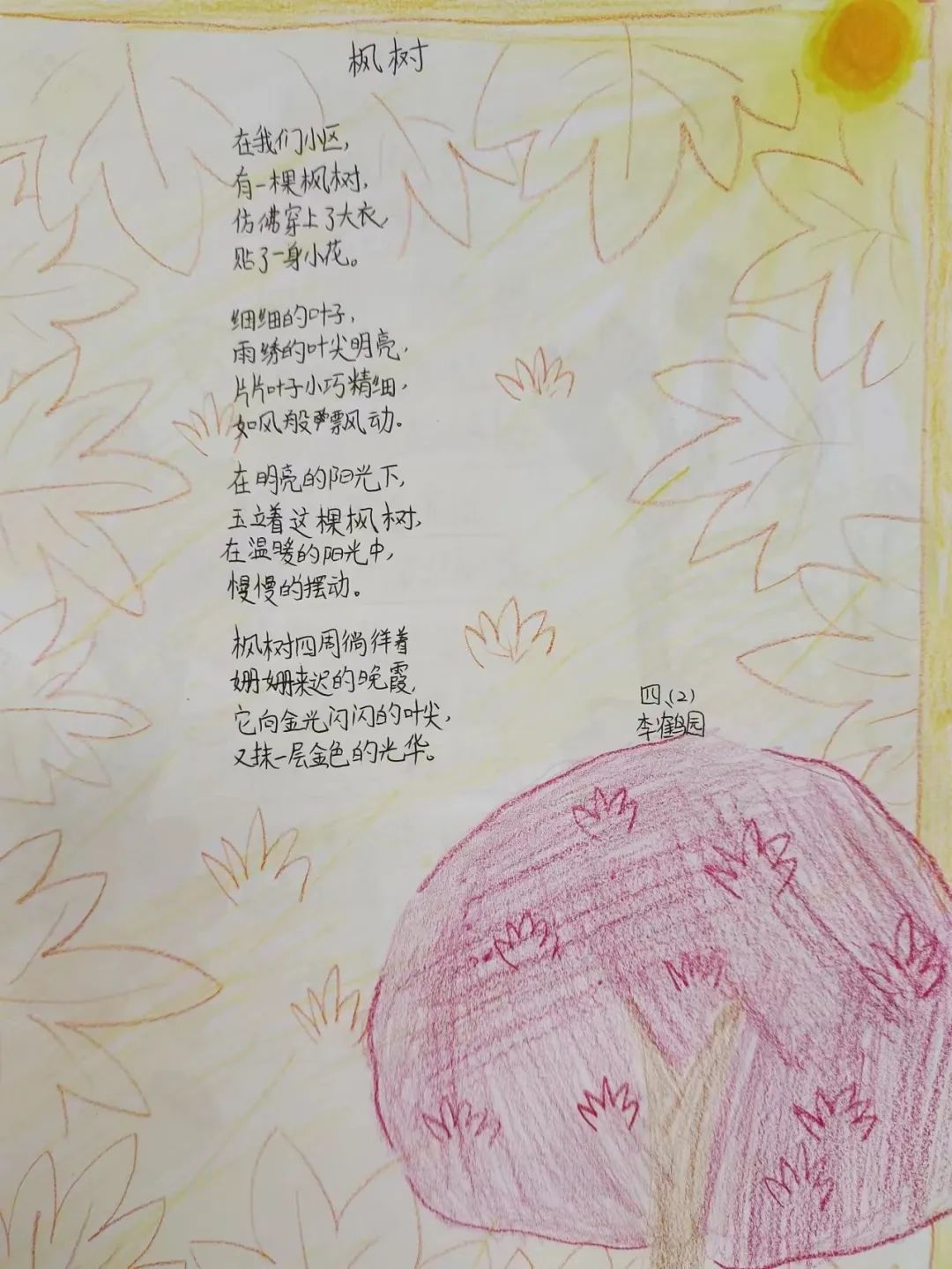 小学现代诗配画图片作品之《枫树》