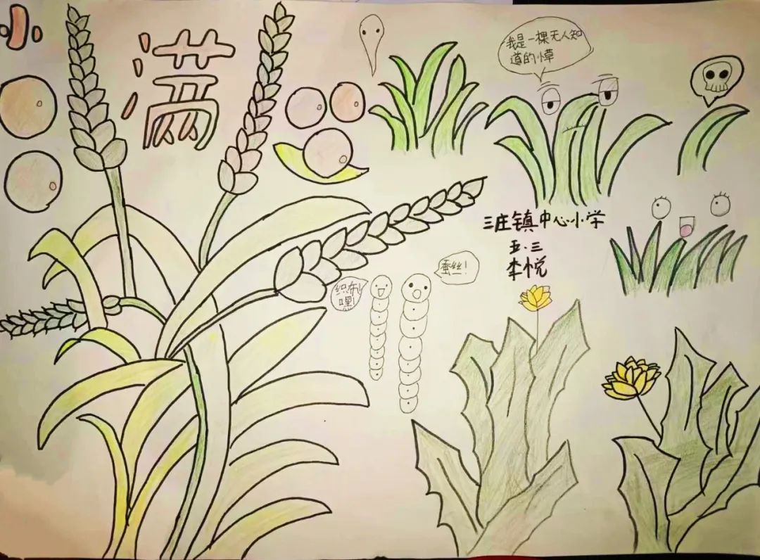 二十四节气之小满主题绘画（11）