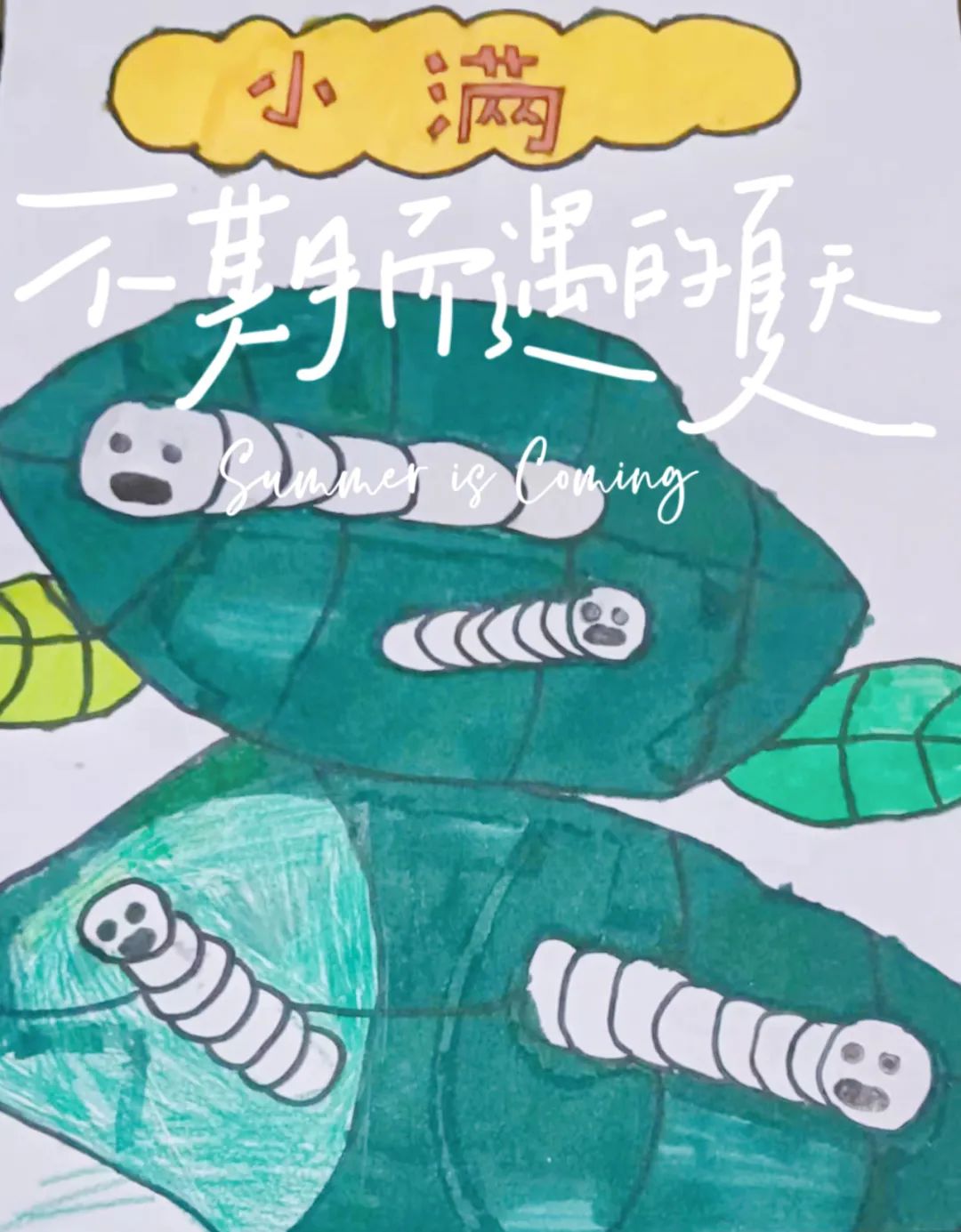 二十四节气之小满主题绘画（13）