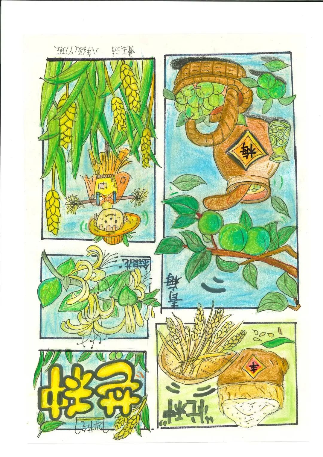 二十四节气初中生绘画作品（8）