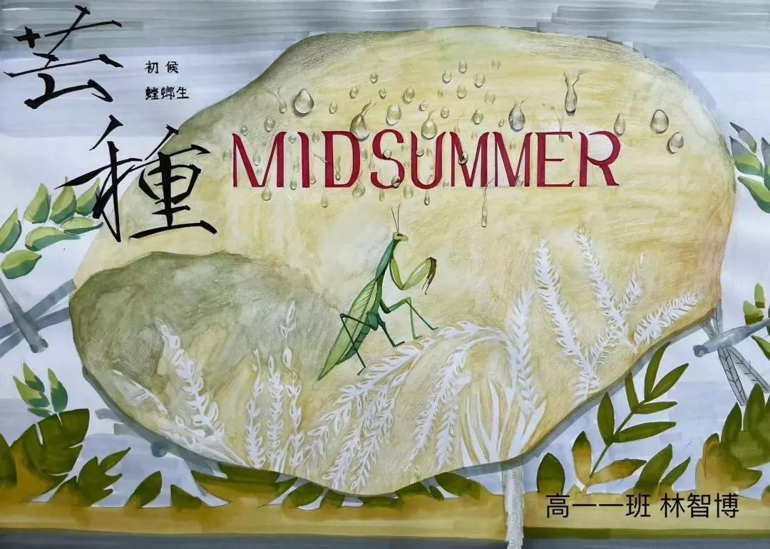 二十四节气芒种儿童绘画（十）