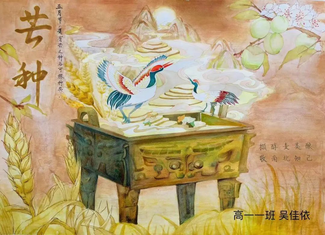 二十四节气芒种儿童绘画（二）