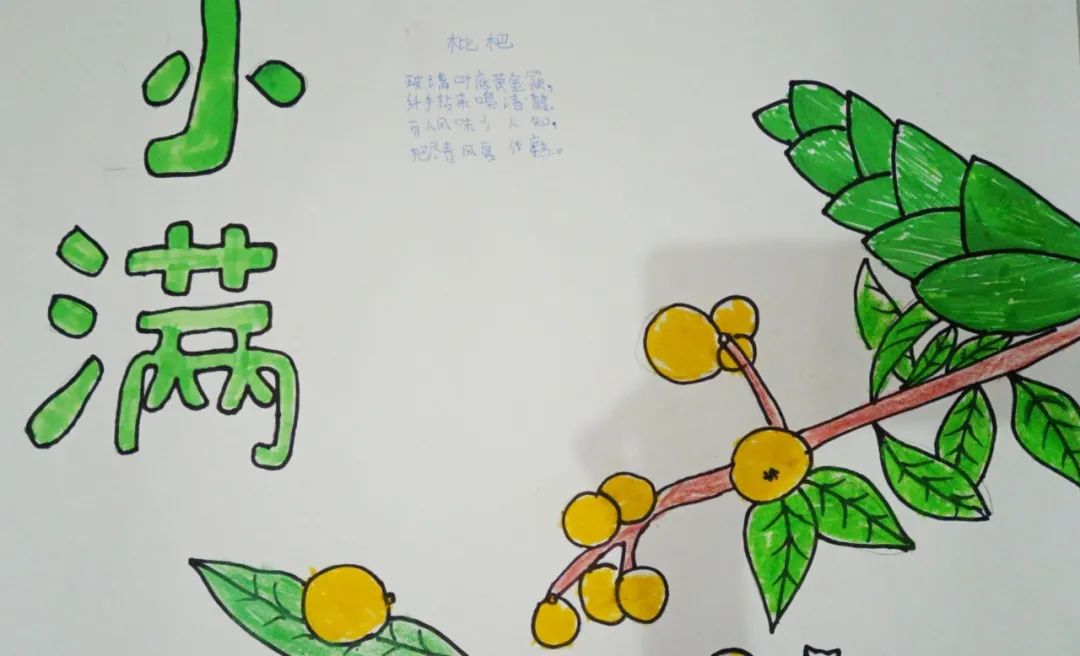 二十四节气之小满主题绘画（8）