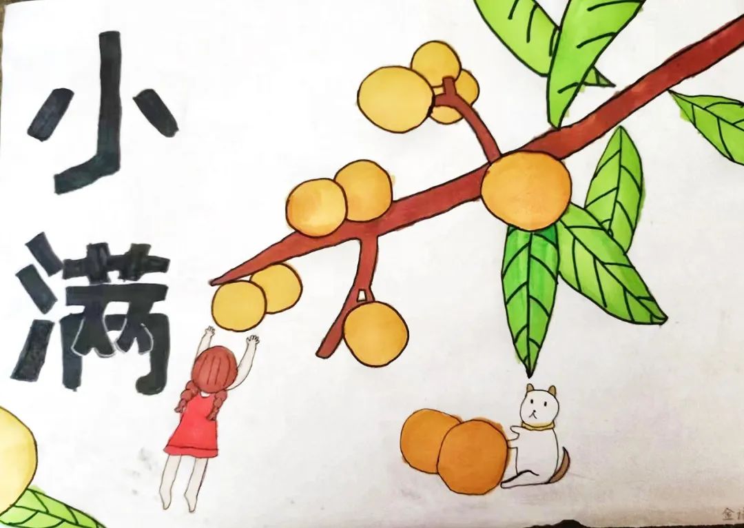 二十四节气之小满主题绘画（9）