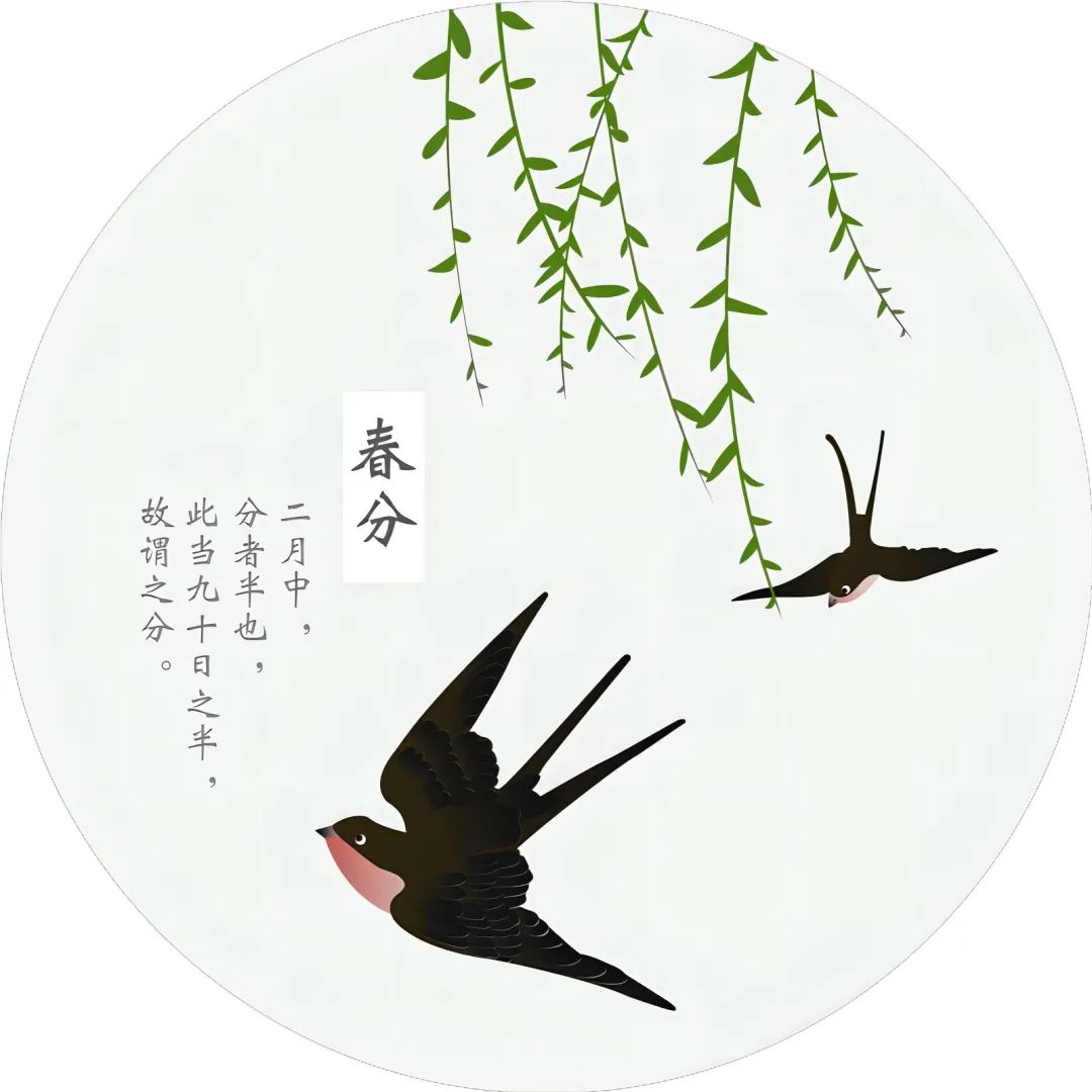 春分——二十四节气绘画作品（7）
