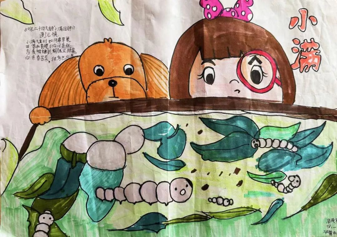 二十四节气之小满主题绘画（14）
