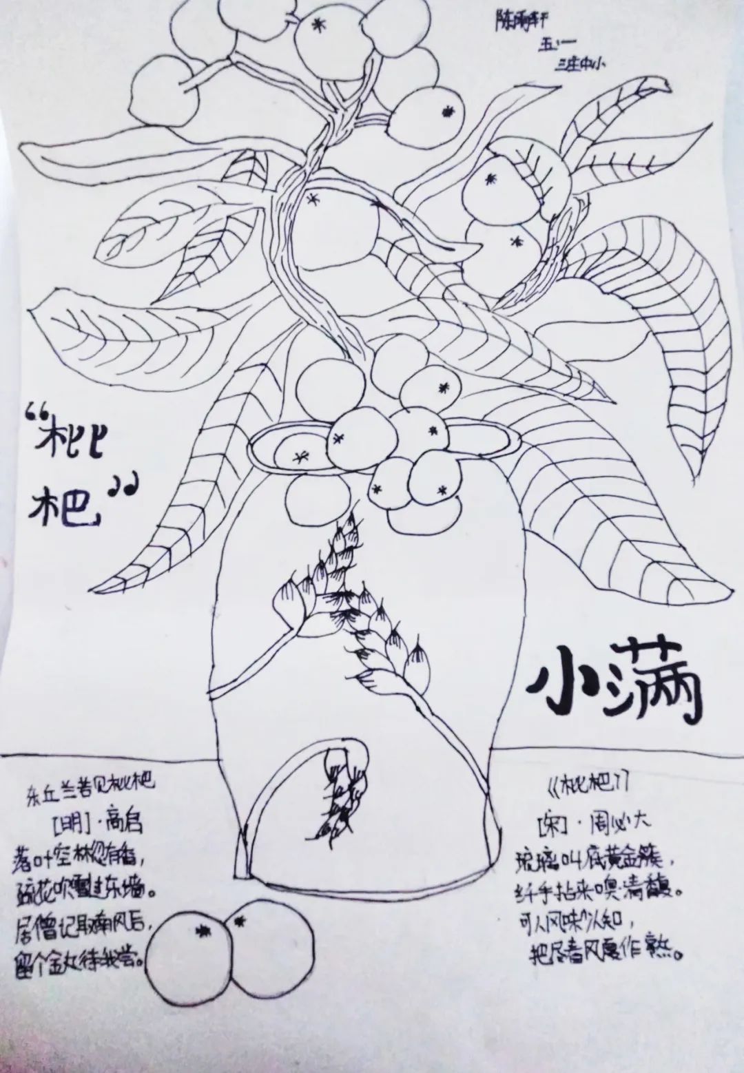 二十四节气之小满主题绘画（4）