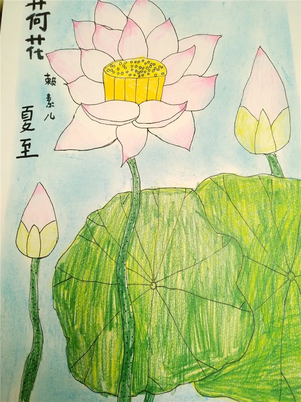 小学关于夏至的绘画作品（五）