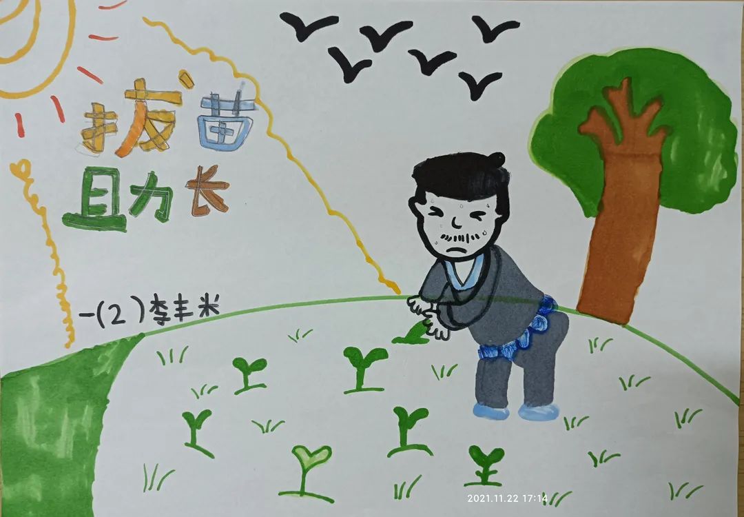 《拔苗助长》成语图画图片大全