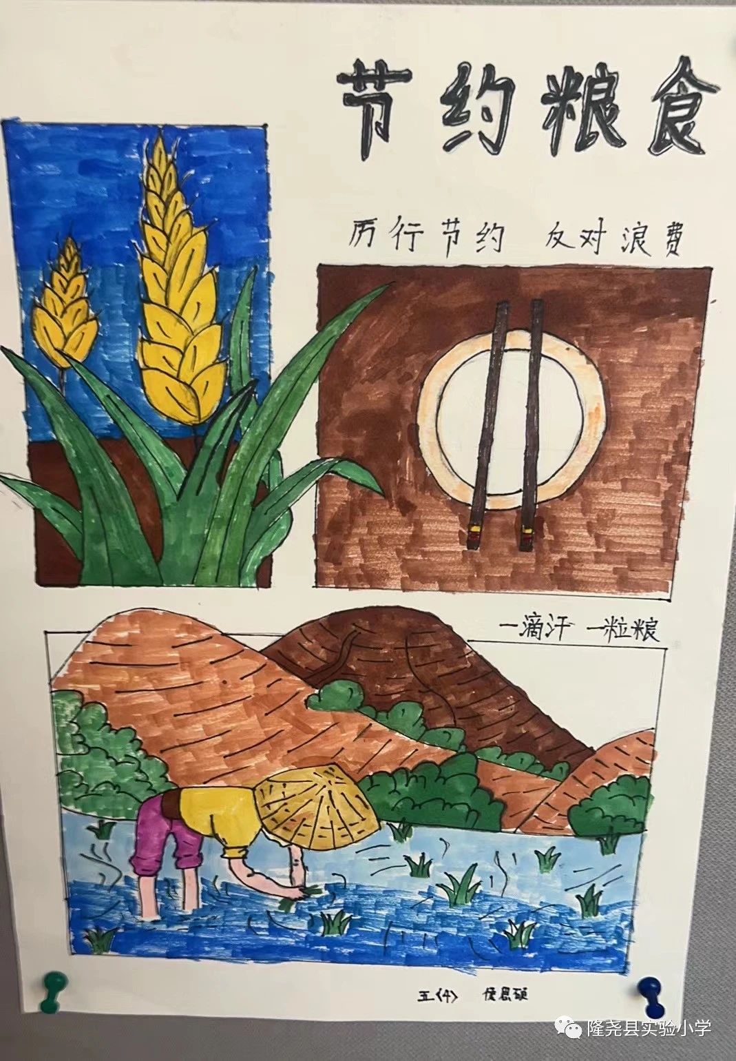 “厉行节约 杜绝浪费”爱惜粮食主题画（3）