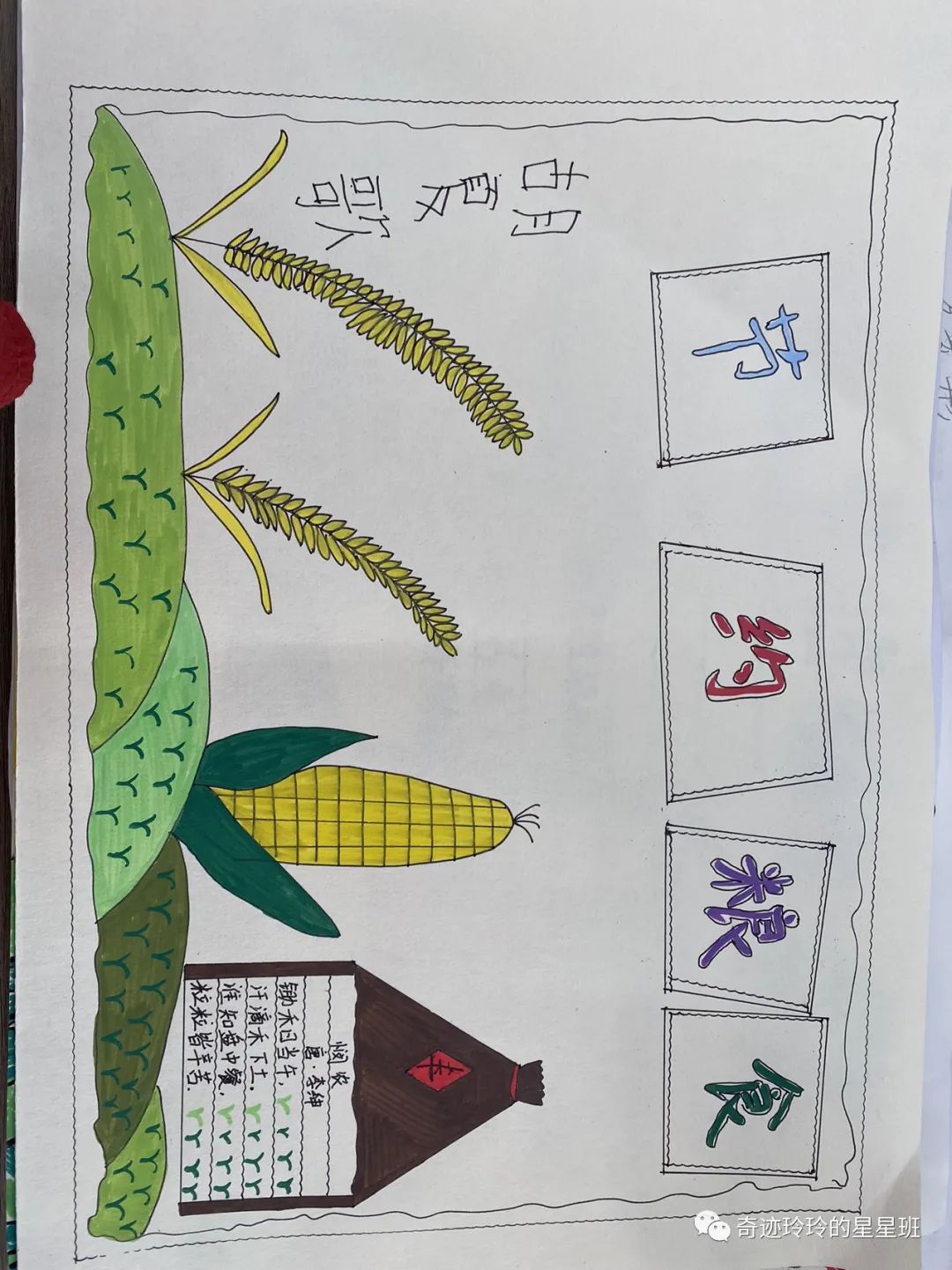 “厉行节约 反对浪费”粮食日画画图片第8张