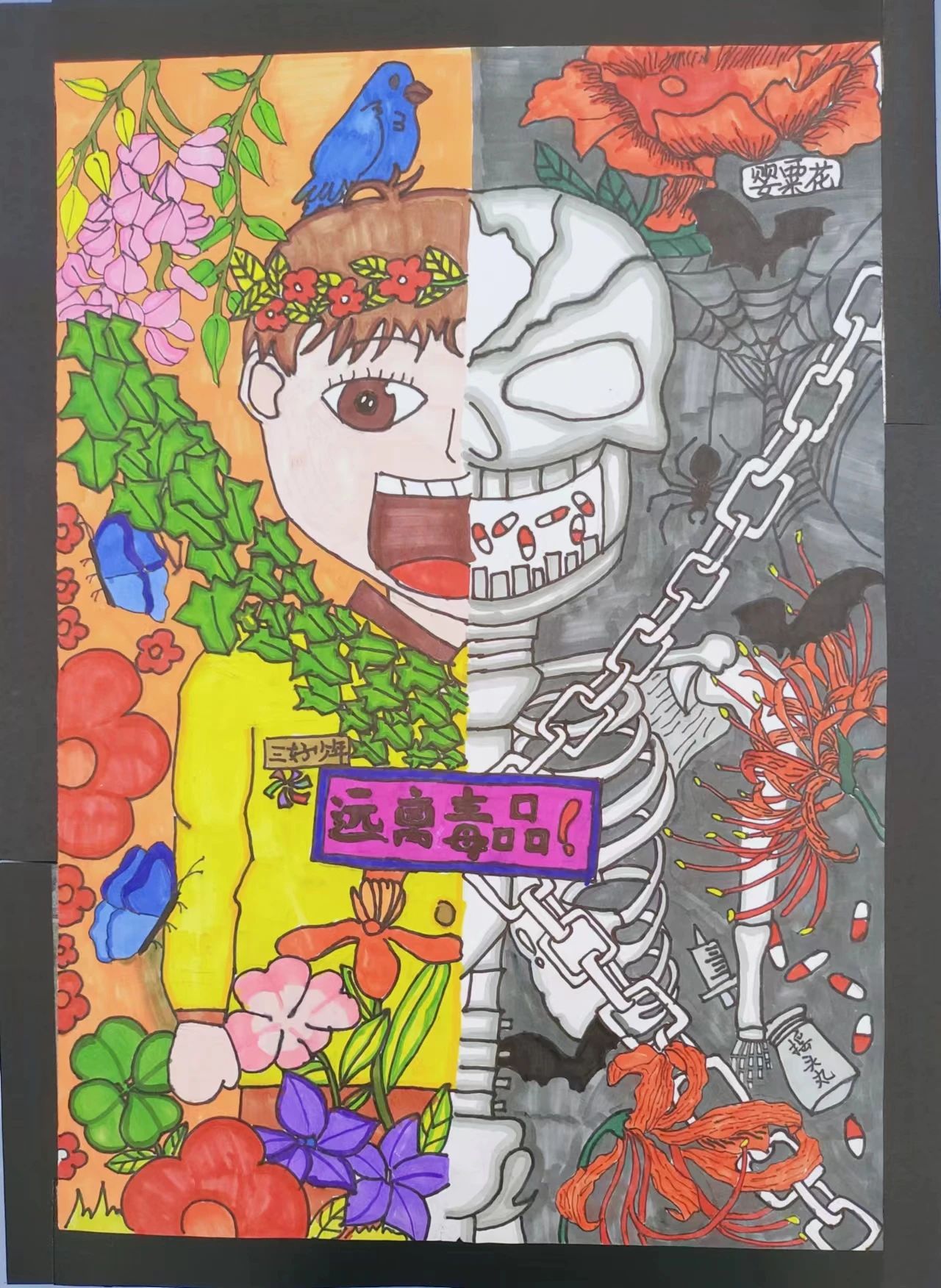 “青春无毒 逐梦未来”优秀画画作品（4）