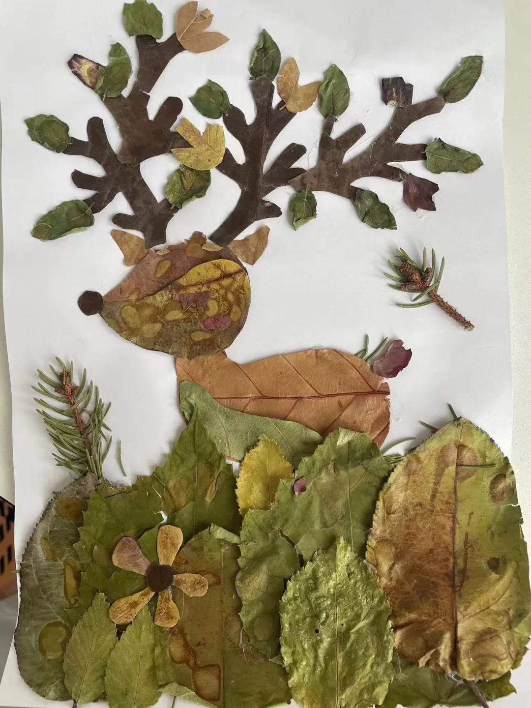 创意的秋天树叶贴画作品（2）