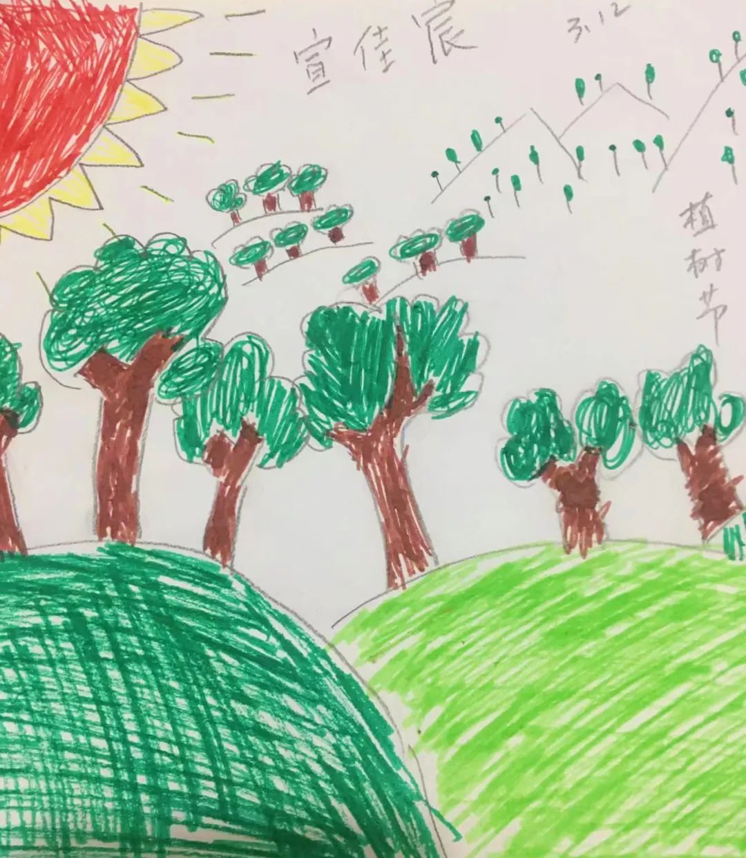 非常简单的植树节幼儿绘画作品
