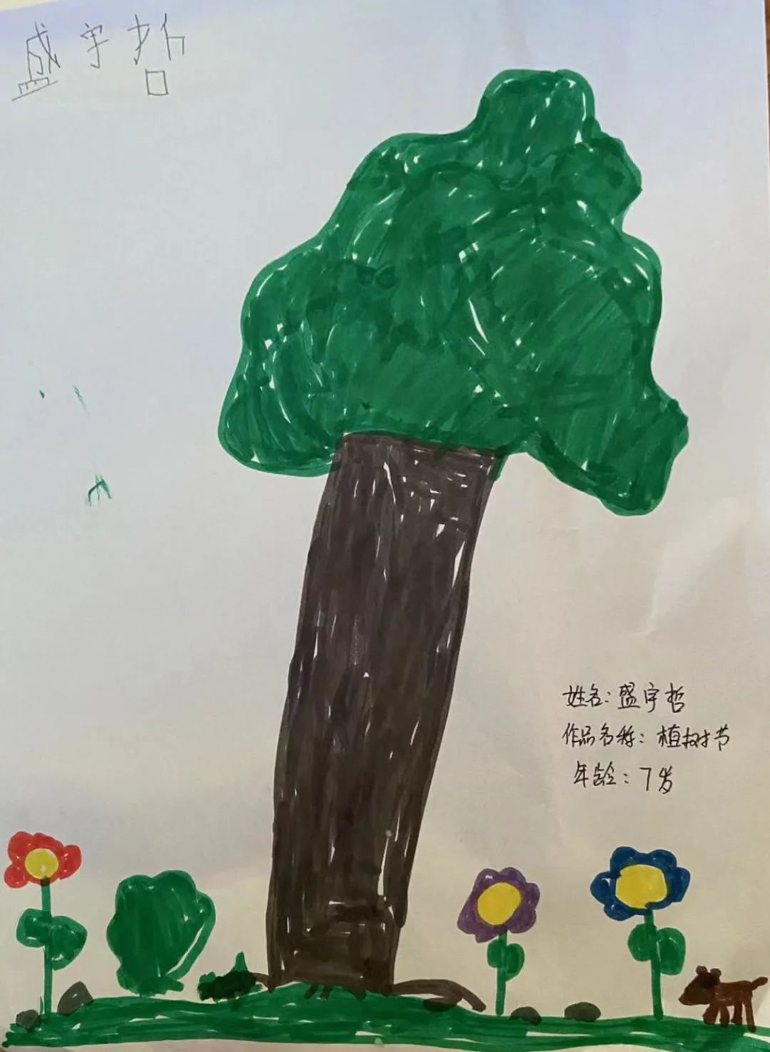 《植树节》幼儿园少儿绘画作品