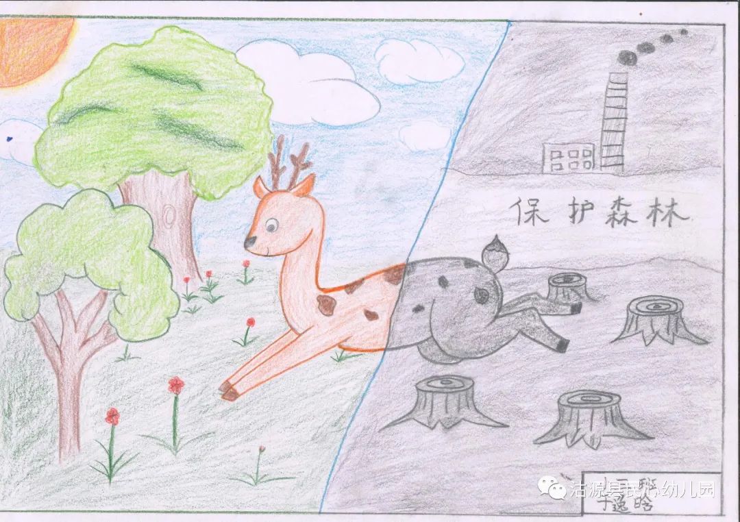 “保护森林 爱护动物”森林消防安全画