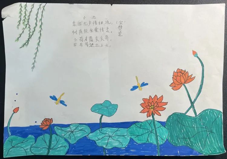 简单的小学生1-6年级古诗配画作品《小池》-第2张