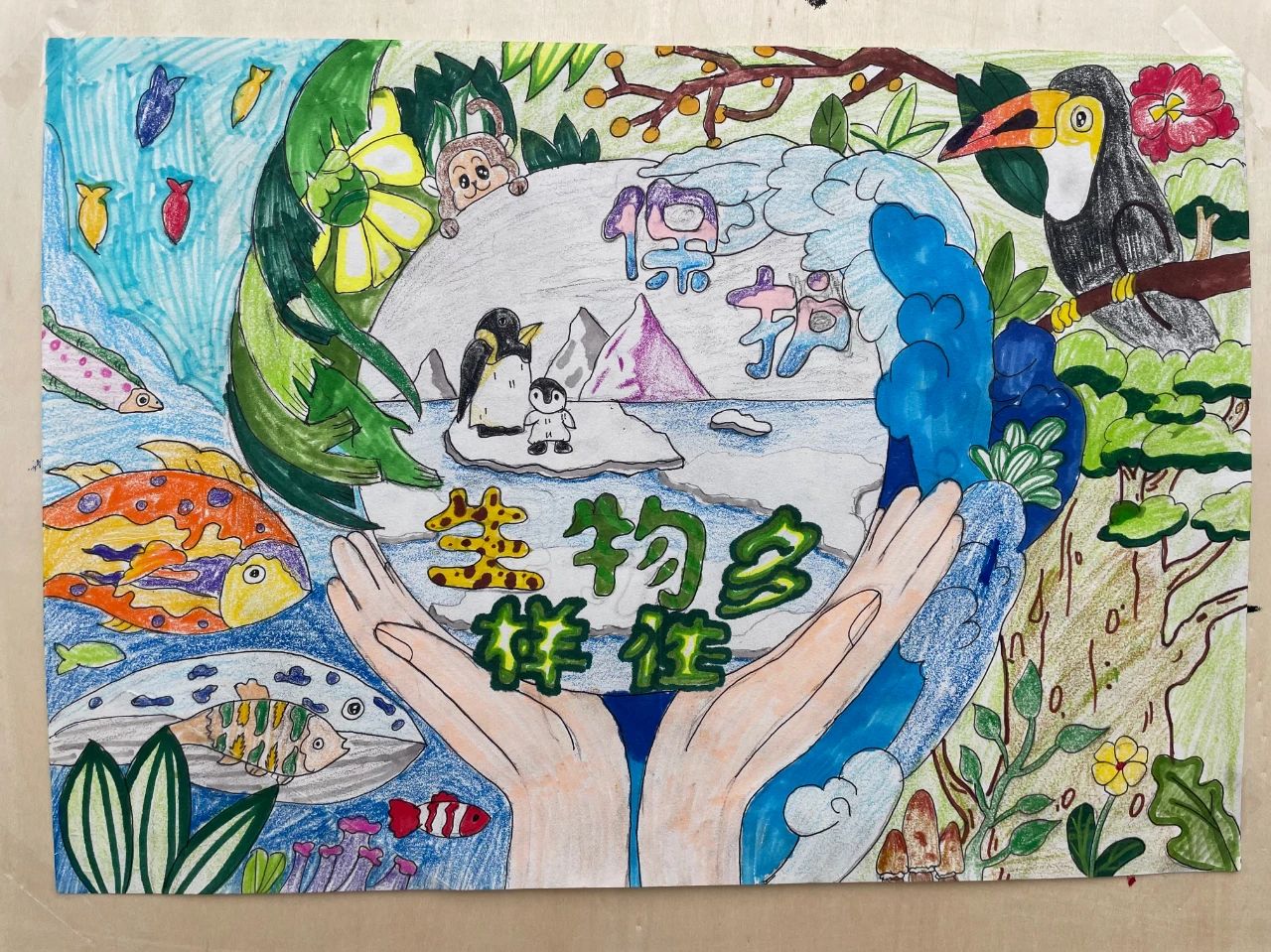 关于保护生物多样性的儿童绘画-第1张