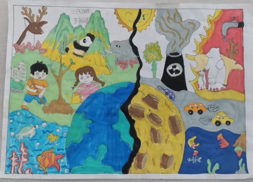 精美的小学生“爱护自然 保护湿地”主题绘画作品-第3张