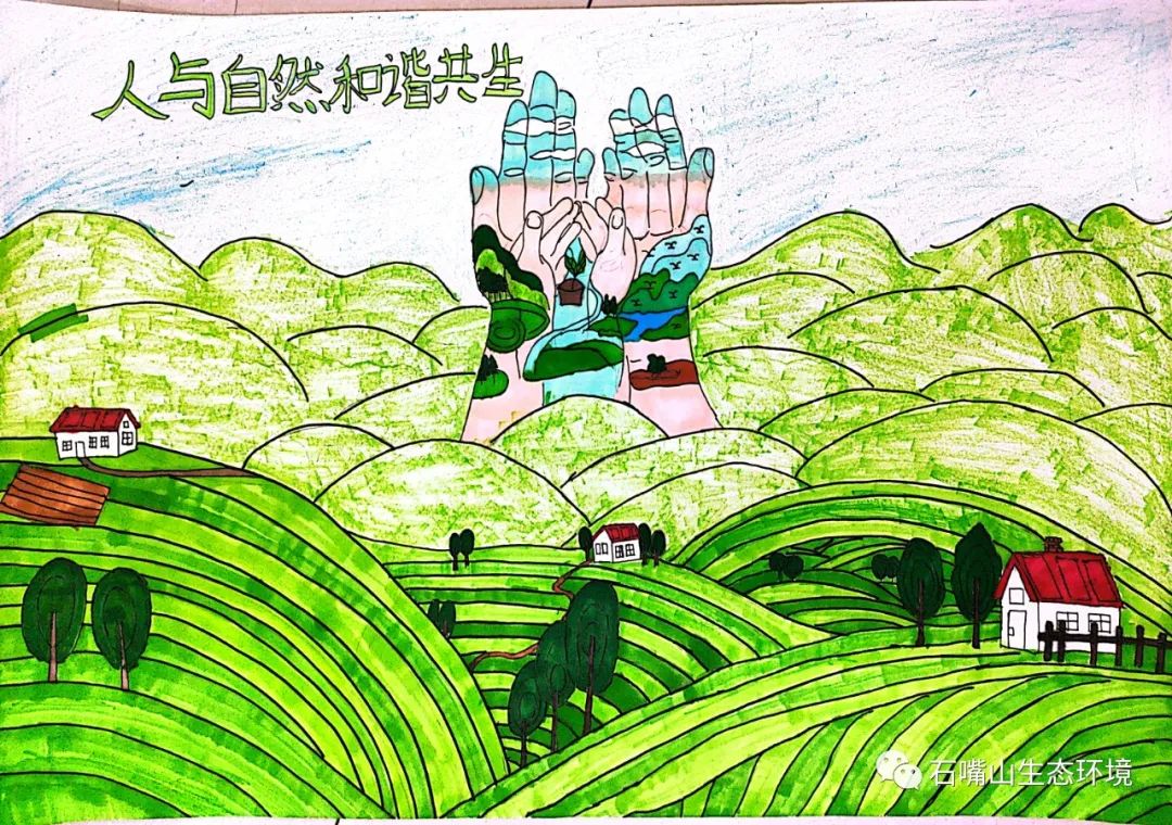 “我眼中的生物多样性”的儿童绘画-第5张